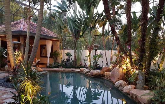 orlando landscape lighting installed around pool
